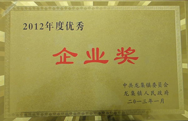 優(yōu)秀企業(yè)獎(jiǎng)1.JPG
